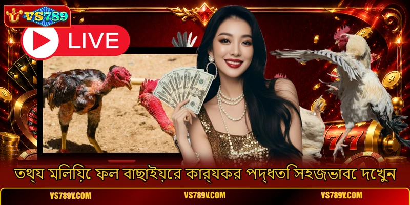 তথ্য মিলিয়ে ফল বাছাইয়ের কার্যকর পদ্ধতি সহজভাবে দেখুন তথ্য মিলিয়ে ফল বাছাইয়ের কার্যকর পদ্ধতি সহজভাবে দেখুন