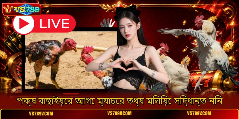 পক্ষ বাছাইয়ের আগে ম্যাচের তথ্য মিলিয়ে সিদ্ধান্ত নিন পক্ষ বাছাইয়ের আগে ম্যাচের তথ্য মিলিয়ে সিদ্ধান্ত নিন