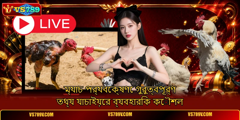 ম্যাচ পর্যবেক্ষণে গুরুত্বপূর্ণ তথ্য যাচাইয়ের ব্যবহারিক কৌশল ম্যাচ পর্যবেক্ষণে গুরুত্বপূর্ণ তথ্য যাচাইয়ের ব্যবহারিক কৌশল